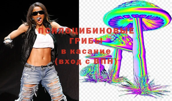 ешки Гусь-Хрустальный