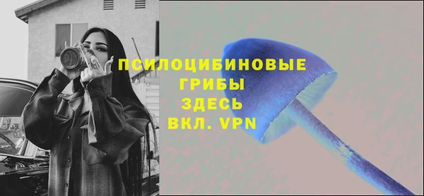 марки lsd Гусиноозёрск