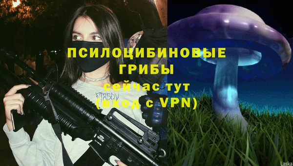 ALPHA-PVP Гусев